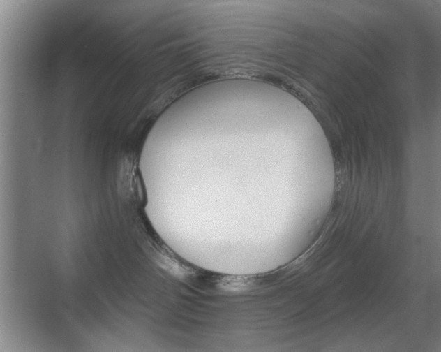 X0000069830142200605190951