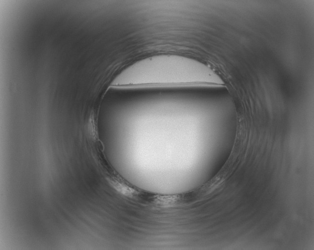 X0000069830143200605190951