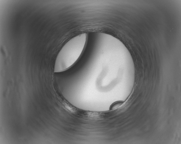 X0000069830144200605190951