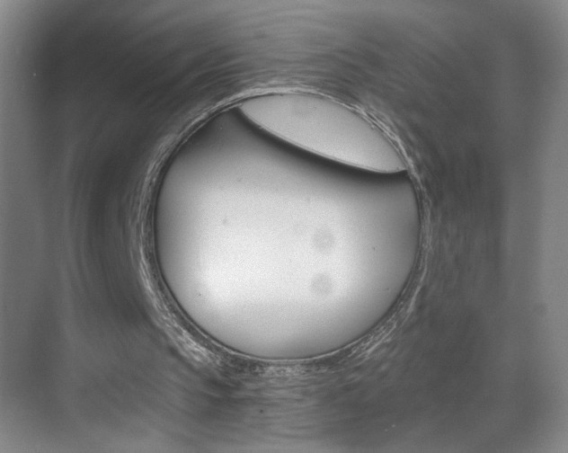 X0000069830145200605190951