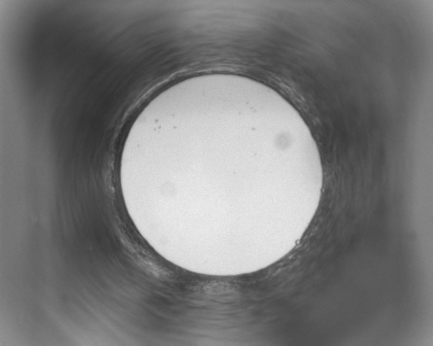 X0000069830146200605190951