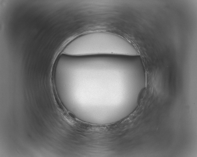 X0000069830147200605190951