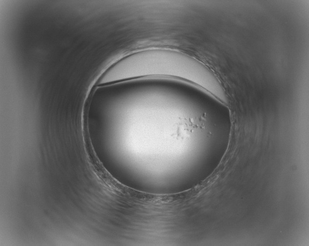 X0000069830148200605190951