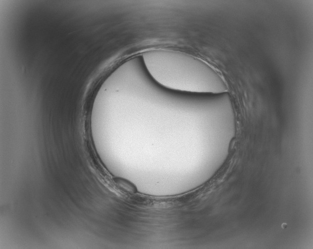 X0000069830149200605190951