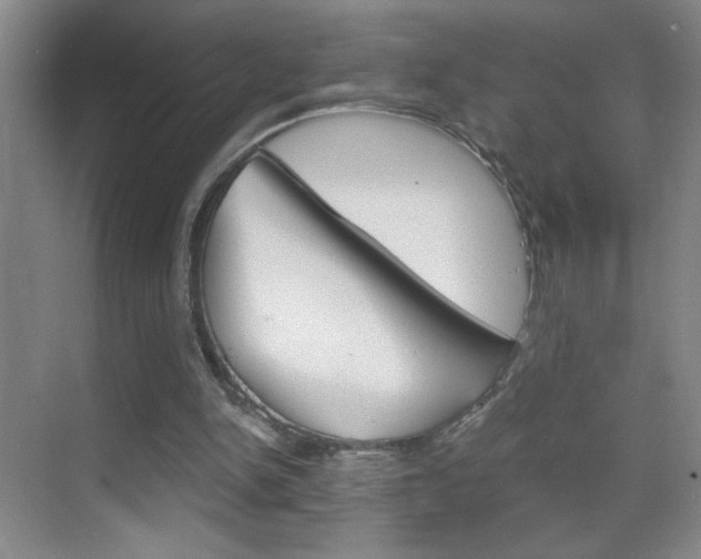 X0000069830150200605190951