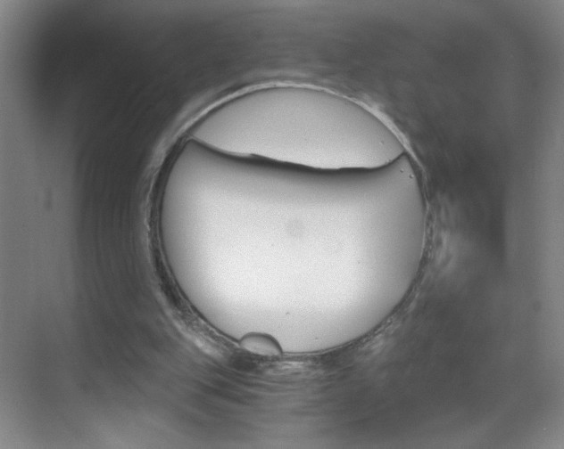 X0000069830151200605190951