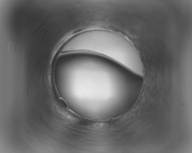 X0000069830152200605190951