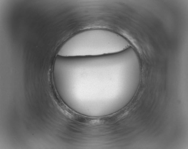 X0000069830153200605190951