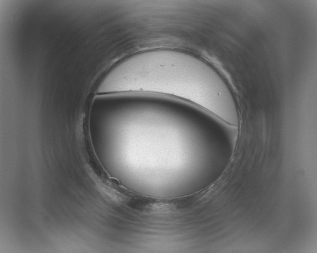 X0000069830154200605190951