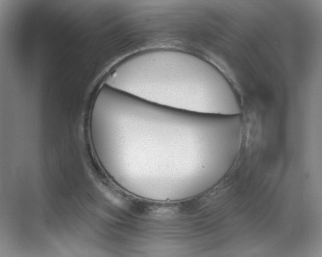 X0000069830155200605190951