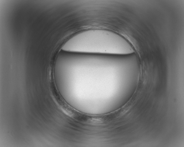 X0000069830157200605190951