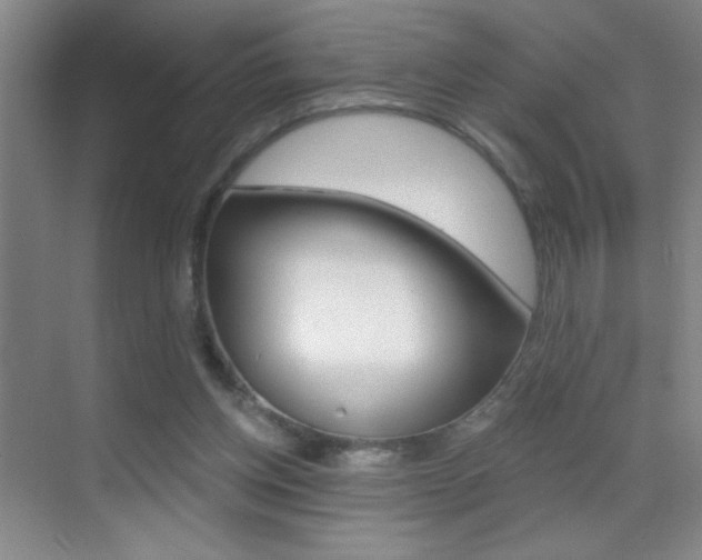 X0000069830158200605190951