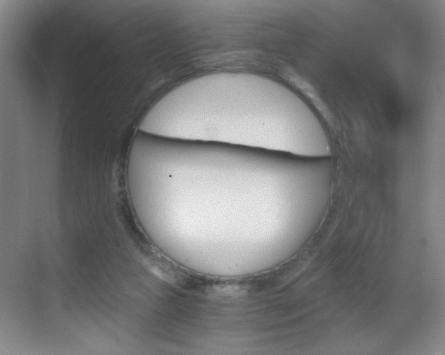 X0000069830161200605190951