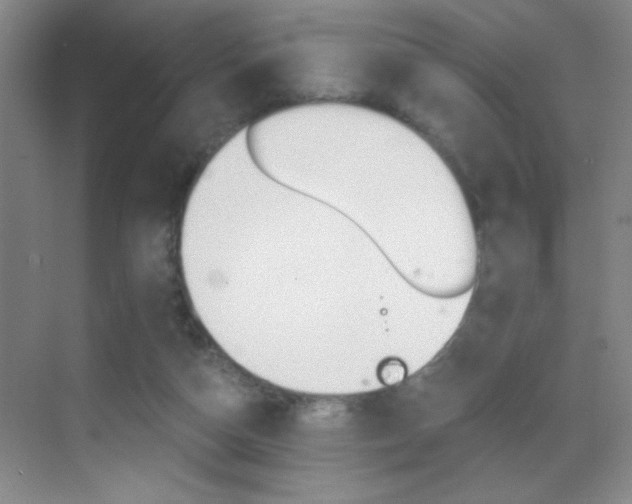 X0000069830162200605190951