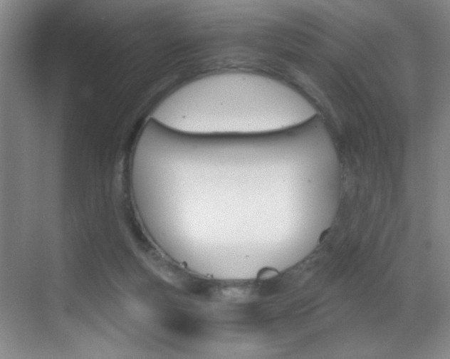 X0000069830163200605190951