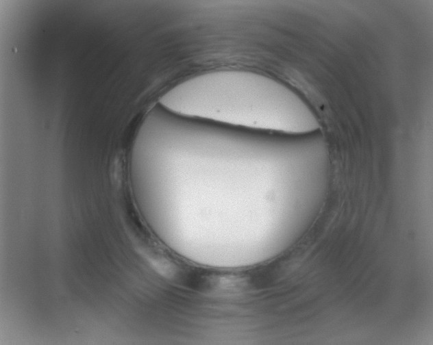 X0000069830165200605190951