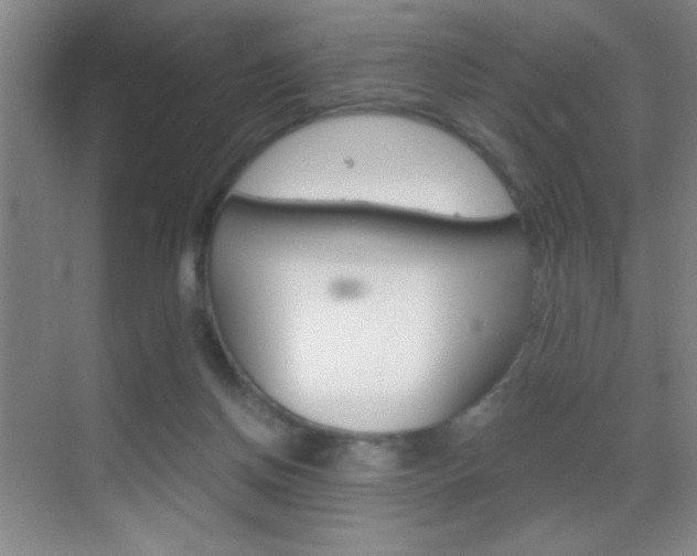 X0000069830166200605190951