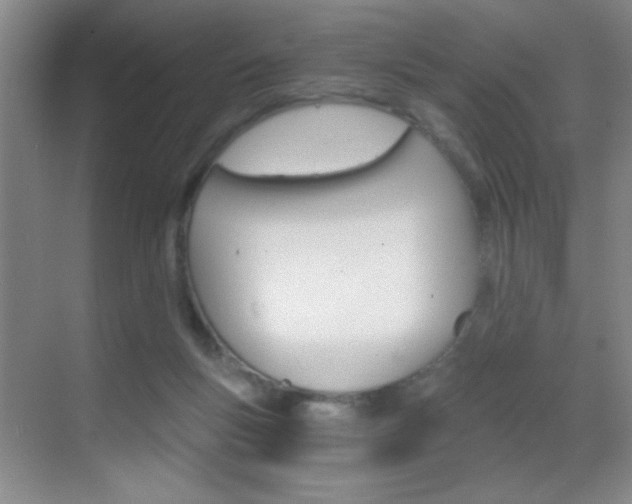 X0000069830167200605190951