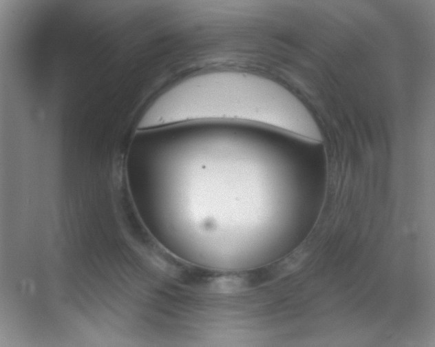 X0000069830168200605190951