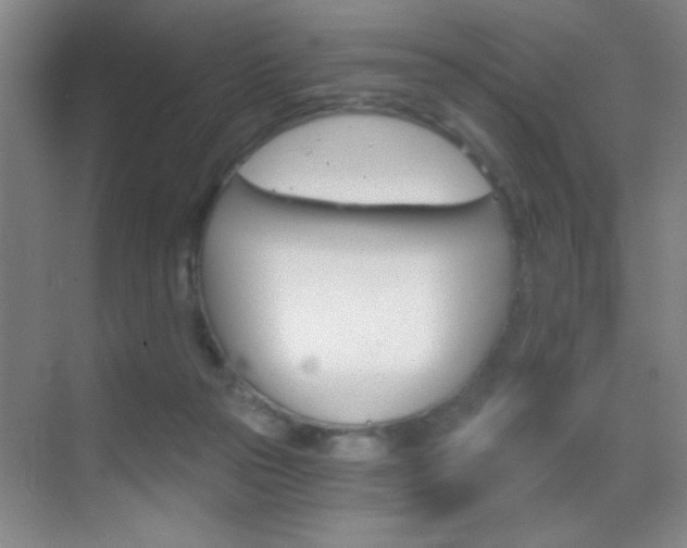 X0000069830169200605190951