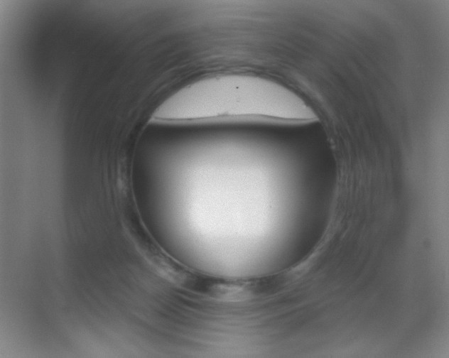 X0000069830170200605190951