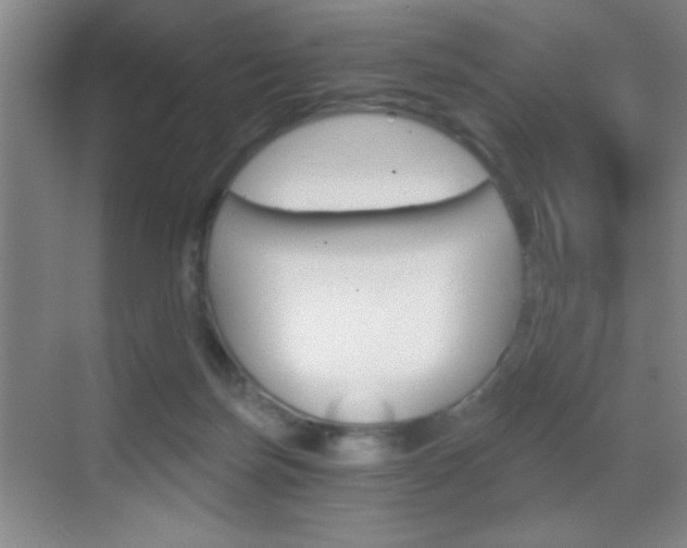 X0000069830171200605190951