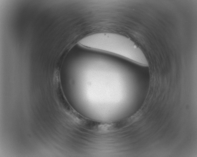 X0000069830172200605190951