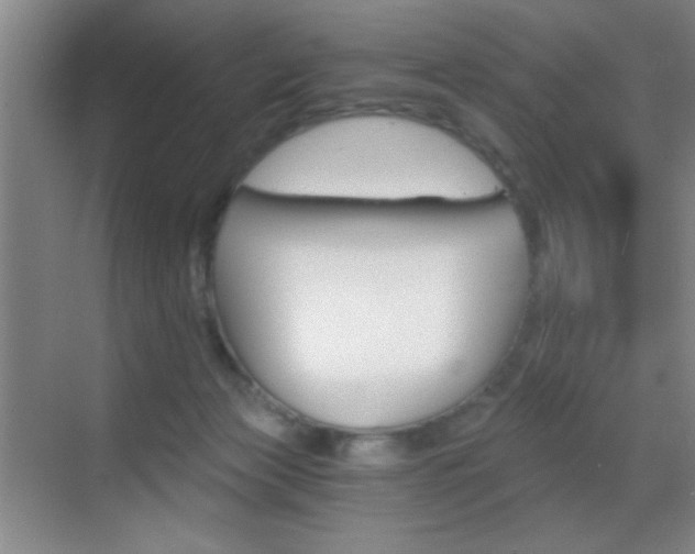 X0000069830173200605190951