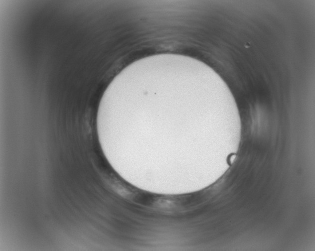 X0000069830174200605190951