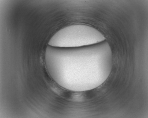 X0000069830175200605190951