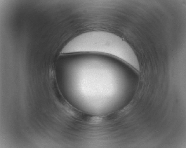 X0000069830176200605190951