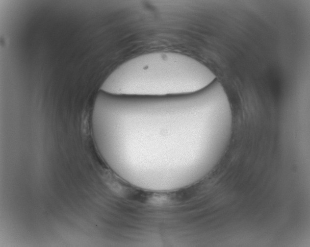 X0000069830177200605190951