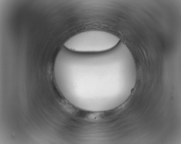 X0000069830178200605190951