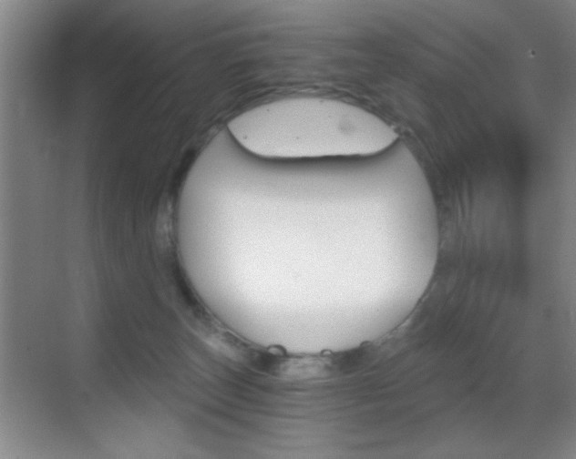 X0000069830179200605190951