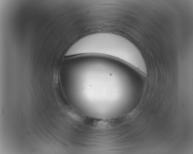 X0000069830180200605190951