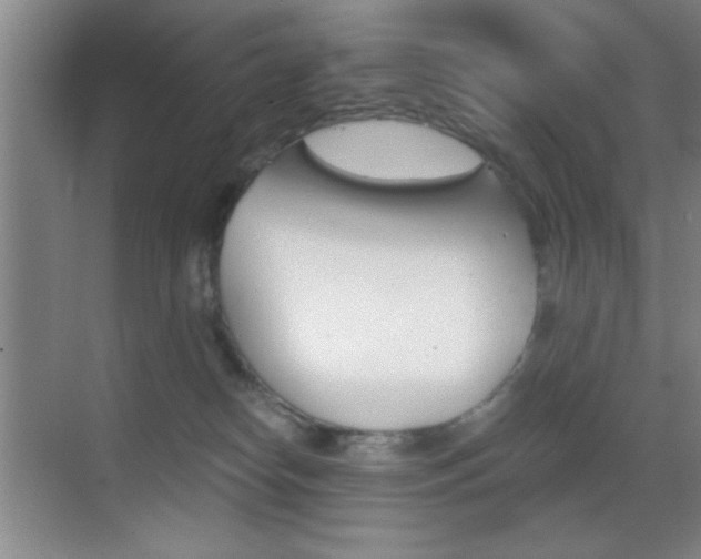 X0000069830182200605190951