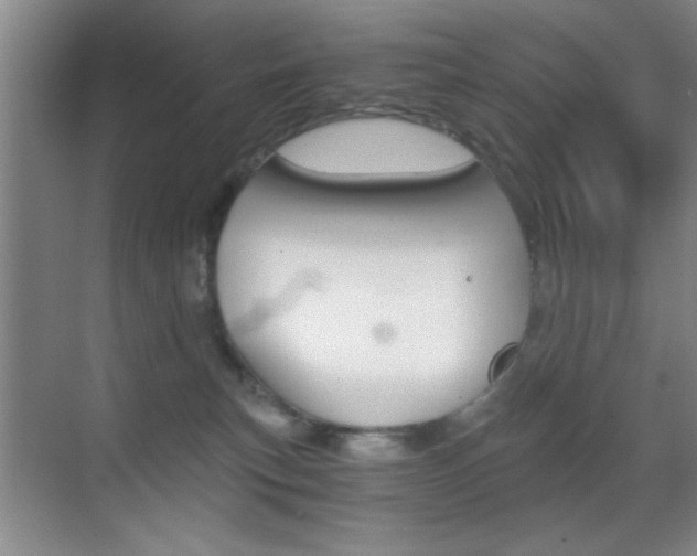 X0000069830183200605190951