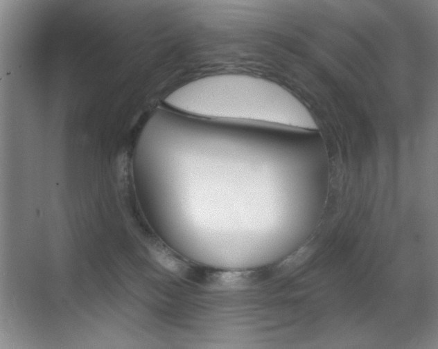 X0000069830184200605190951