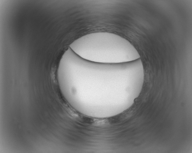 X0000069830185200605190951