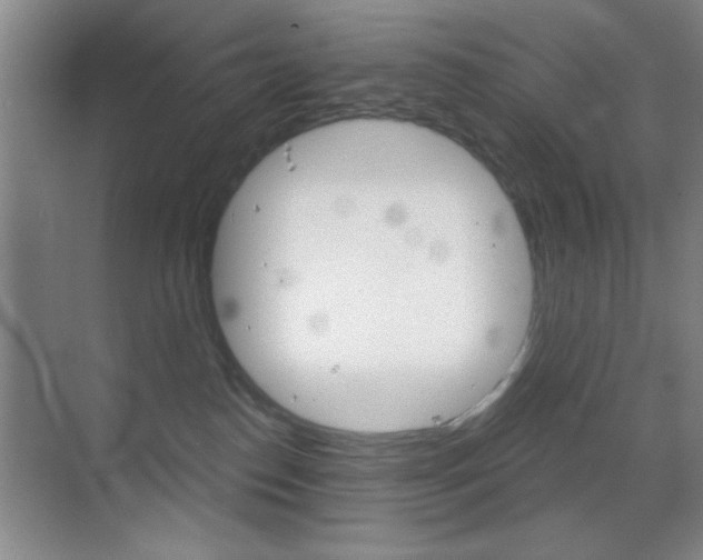 X0000069830186200605190951