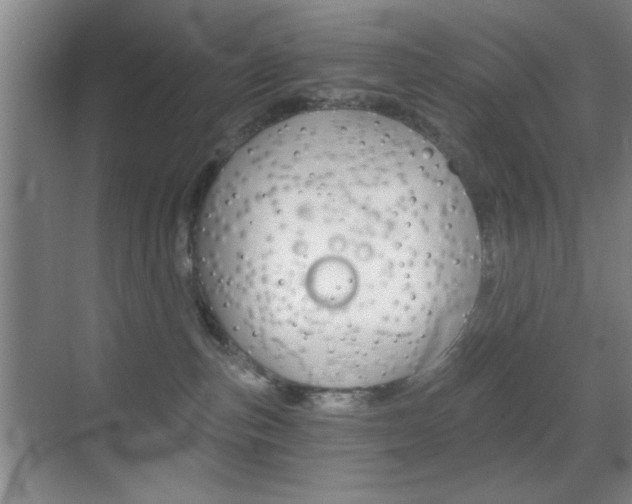 X0000069830187200605190951