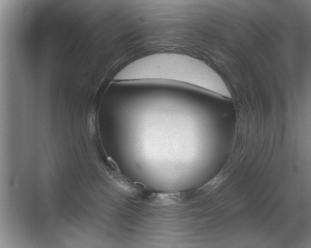 X0000069830188200605190951