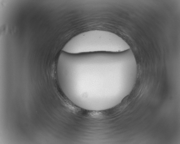 X0000069830189200605190951