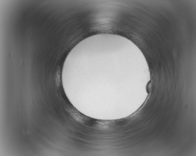 X0000069830190200605190951