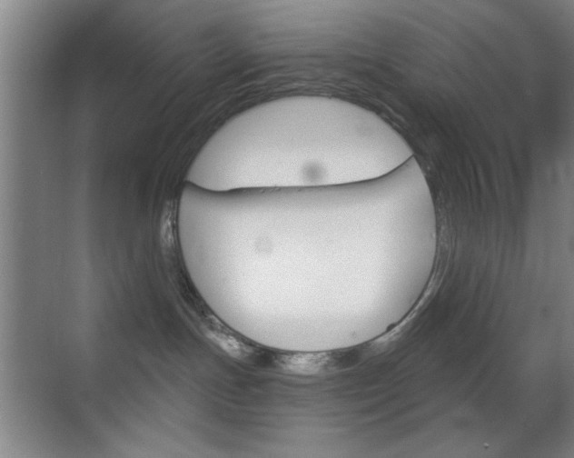 X0000069830191200605190951