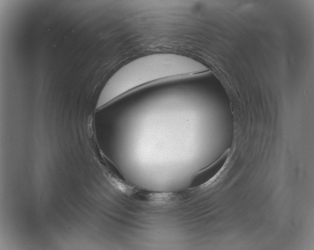 X0000069830192200605190951