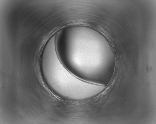 X0000069830193200605190951