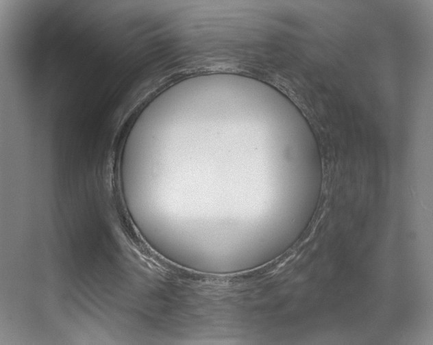 X0000069830194200605190951