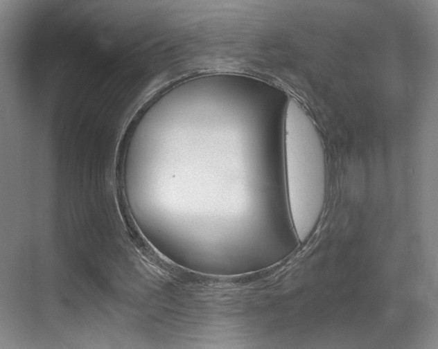 X0000069830195200605190951