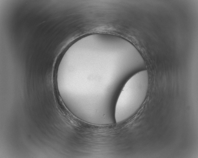 X0000069830196200605190951